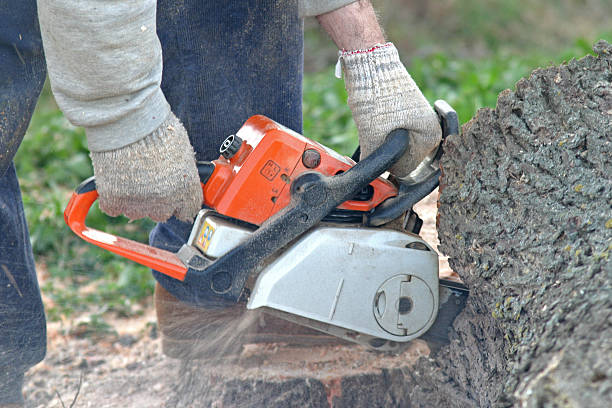 Best Lawn Maintenance Plans  in Omak, WA